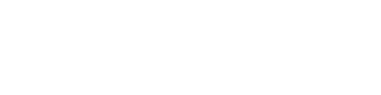 The Envizualists